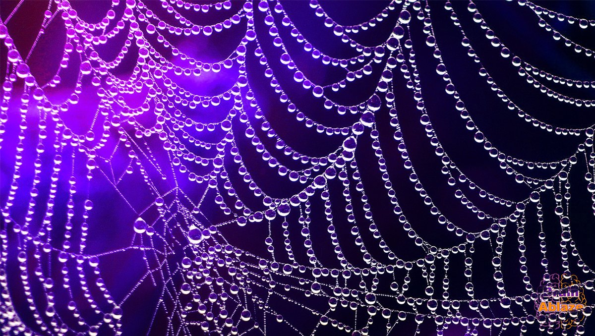 Brain Ablaze tweet media