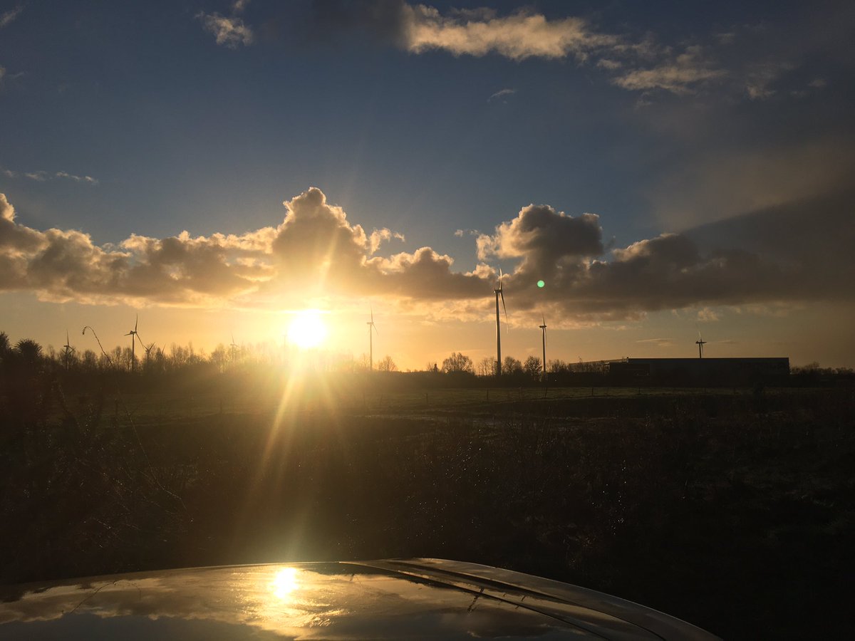 Hiklander's tweet photo. #kiekjes #naregenkomtzonneschijn https://t.co/hcR3f1iwys
