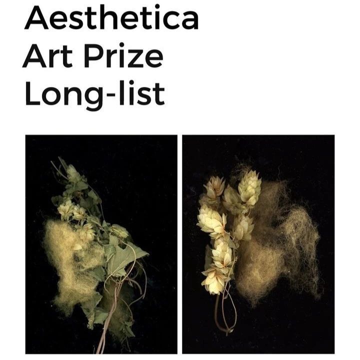 artcanorg's tweet photo. A massive congratulations to three of our #ArtCanArtists who have been selected for the Aesthetica Art Prize Long-list... 

Well done to @lyndsaymartinart , @sj8ird and @lisa_pettibone - beautiful work!

#aestheticamagazine @aestheticamag #longlist #artc… https://t.co/sHvxXs1DmB https://t.co/Zo0k7gs6vZ