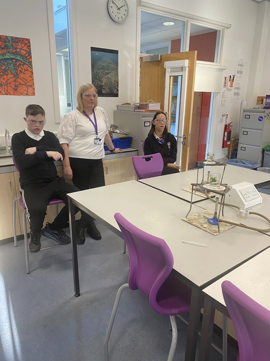 Miss Robertson tweet media