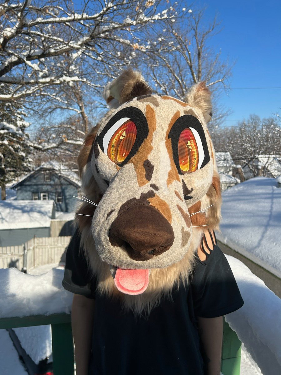 fancyfishfurs's tweet photo. This borzoi is looking for a home! Asking 2️⃣5️⃣0️⃣0️⃣ as a mini partial. Check below for full details. Claim via email at fancyfishfursuits@gmail.com ✨🌻🍁🌻✨ https://t.co/pW3uTZwPNk