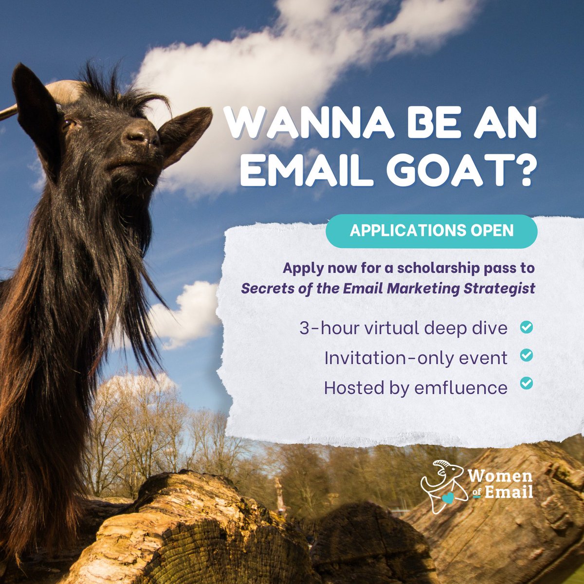 Women of Email tweet media