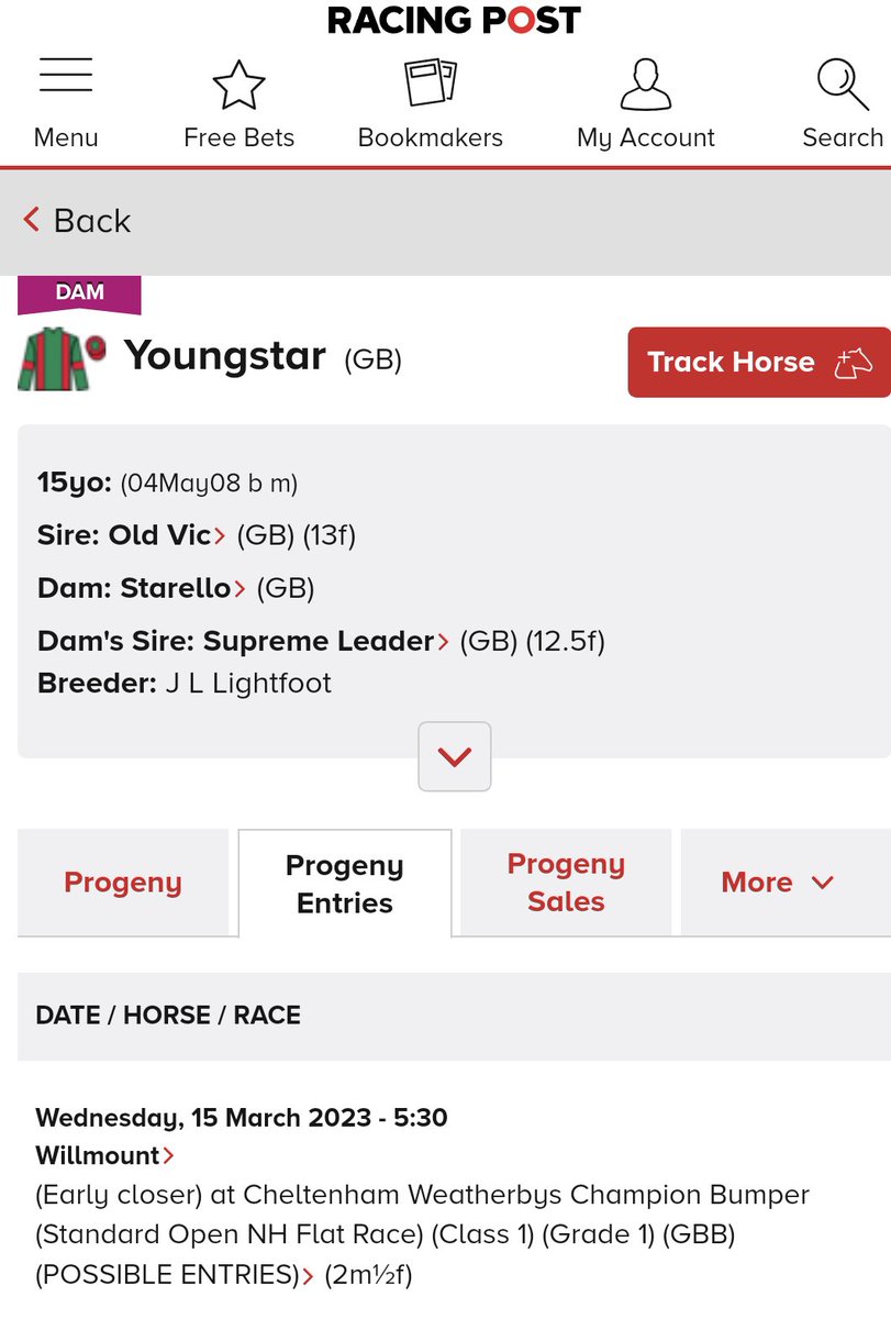 JessWestwood's tweet photo. Another exciting foal for @GoffsUK is lot 118 a @GB_Bonus filly by @OverburySires Jack Hobbs, ex Youngstar. this filly's half brother WILLMOUNT won first time out last week for @Neil_Mulholland &amp; is entered for the CHAMPION BUMPER. #FutureStar #ChampionBumper #GBB https://t.co/jWKxEozcEt