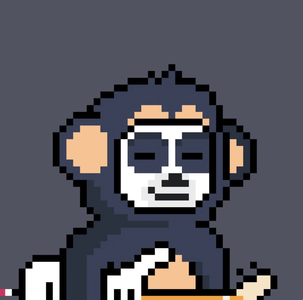 MetaDuni's tweet photo. “Grail of the !yay”, Day 2: 
-Magic Panda (.31%)
-Chimp (.83%) 
-Aesthetic  
-Musically Talented 

.35 eth for this rank 209 feels like a steal 👀 @yaypegs #yaypegs https://t.co/eax3X5aSuG
