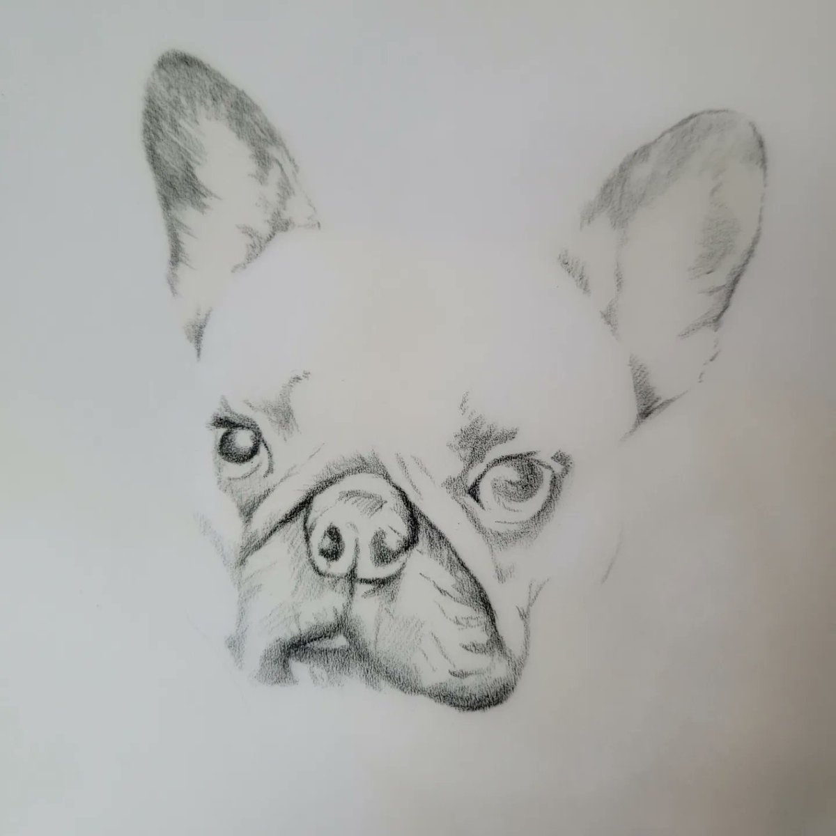 jvonlemon's tweet image. My absolute pleasure to illustrate this pup.  Always tough loosing our fren... peace be the journey.   If you'd like a portrait illustrated of your critters feel free to pm me.  #idraw