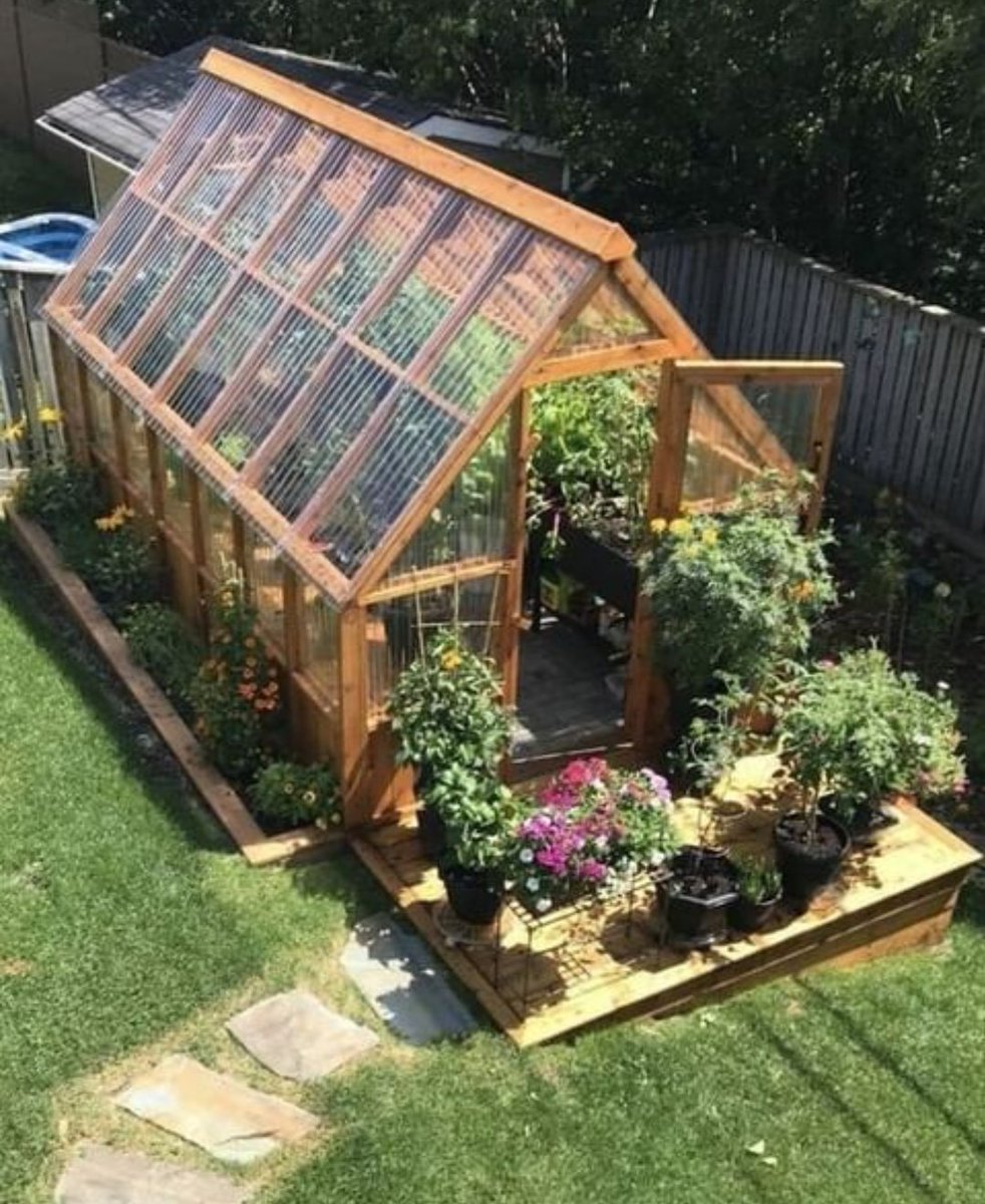 HobbyistPlant's tweet photo. I hope to own a greenhouse one day 🌿 https://t.co/KoOLDTPkF2