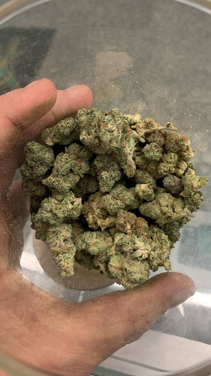 Allcityplug2019's tweet photo. Deluxe sugar-cane🔥🔥🔥 https://t.co/ySr9wJT82x