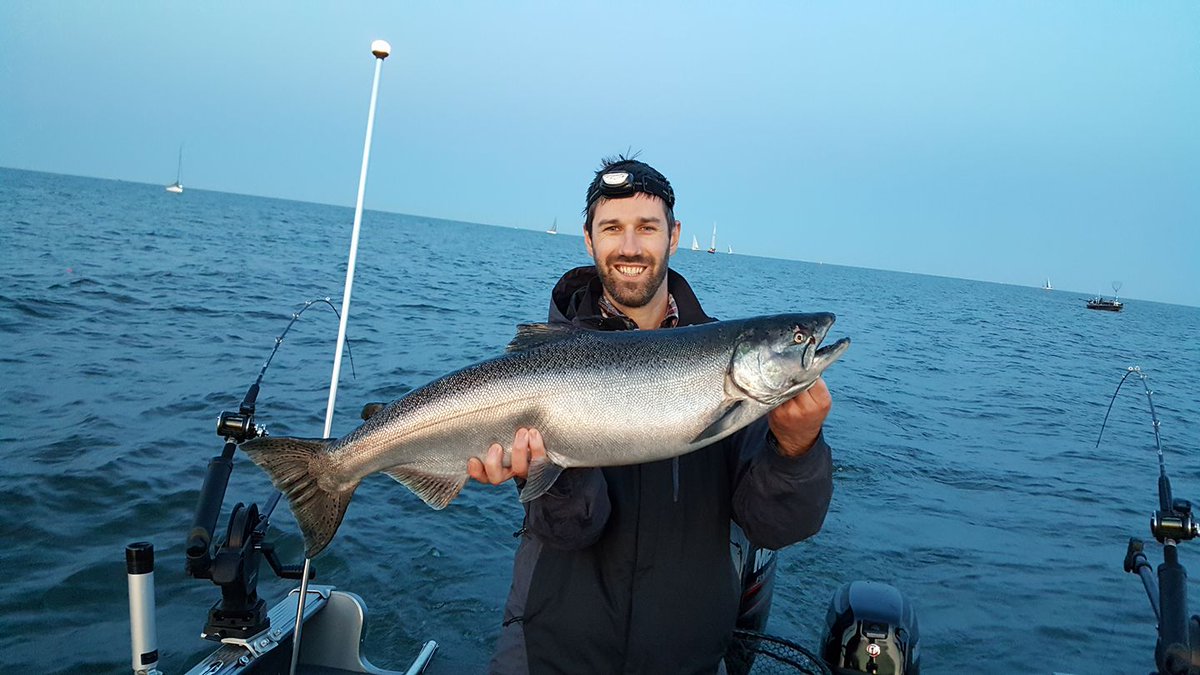INFishWildlife's tweet photo. Cod you help us out, anglers?

Take our survey to help inform our chinook salmon stocking strategy in Lake Michigan: https://t.co/HxNX0VaT5b. 

Use the customer ID number found on your license.

Contact AnglerSurvey@dnr.IN.gov with questions. Contact us with better jokes. https://t.co/VCUThFjAy3