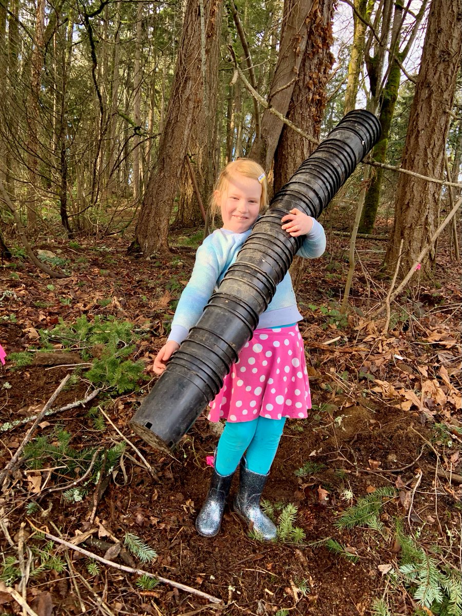 BvueParks's tweet photo. Thanks to everyone who celebrated the legacy of Dr. Martin Luther King Jr. yesterday by volunteering at Wilburton Hill Park! 100 people planted 900 tree and shrubs doing their part to maintain a healthy ecosystem in the heart of Bellevue. @EarthCorps https://t.co/A9BjPlHJgT