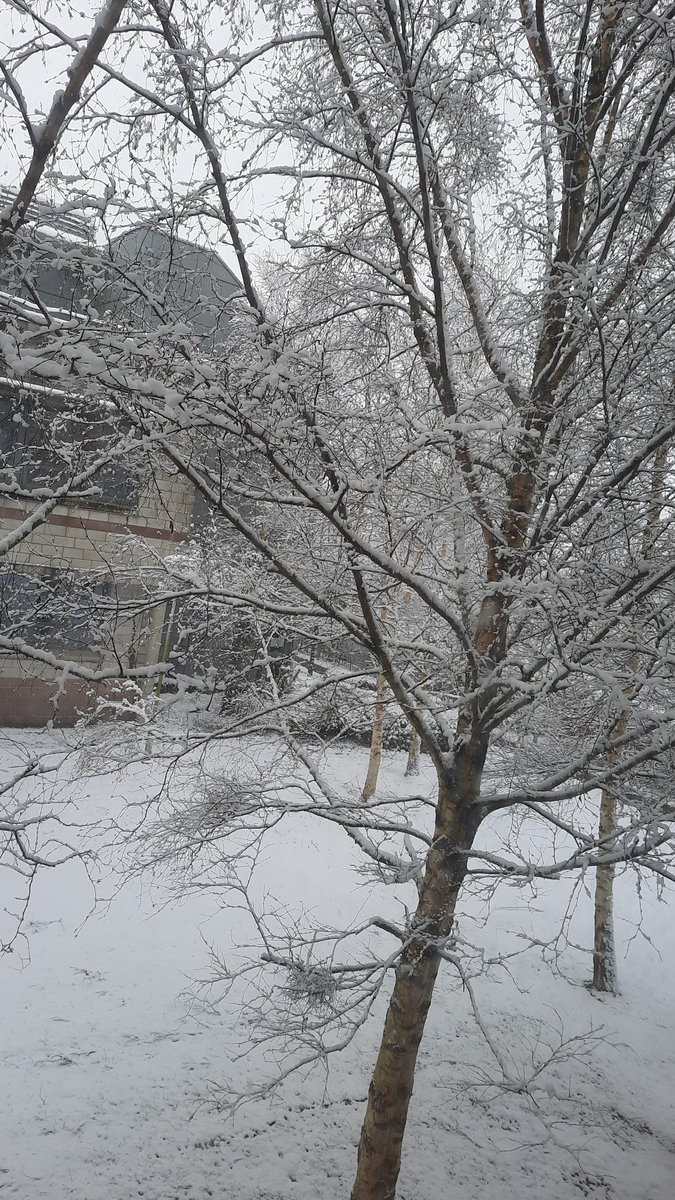 Dr. Nigel McKelvey tweet media