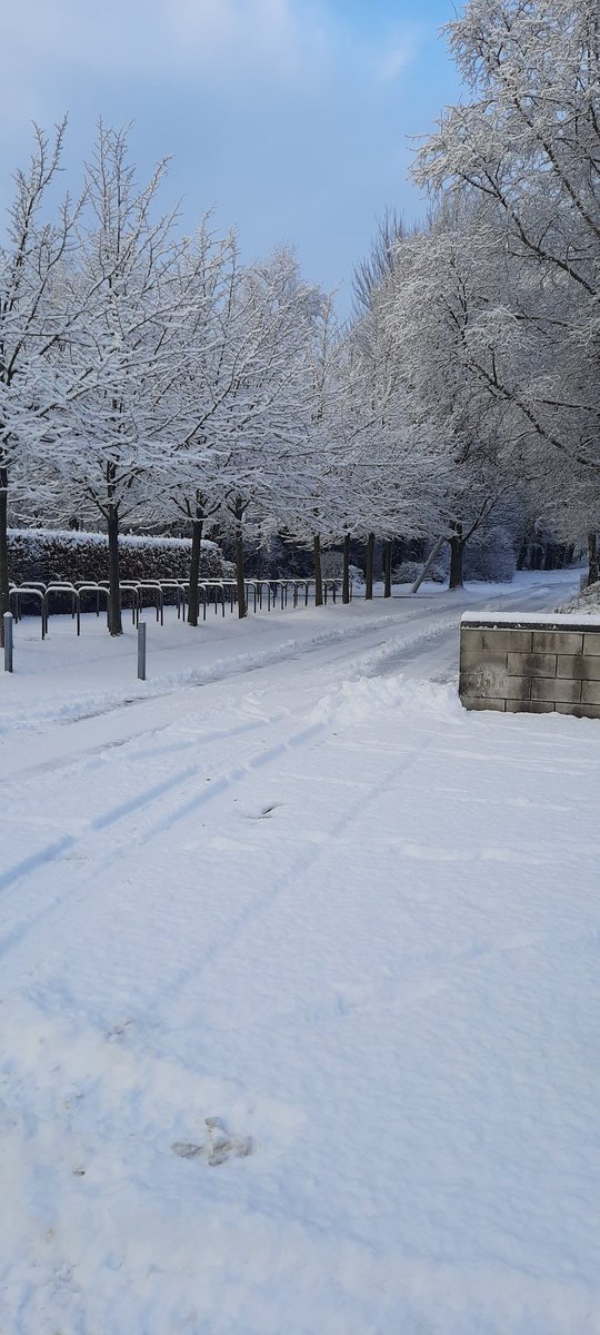 Dr. Nigel McKelvey tweet media