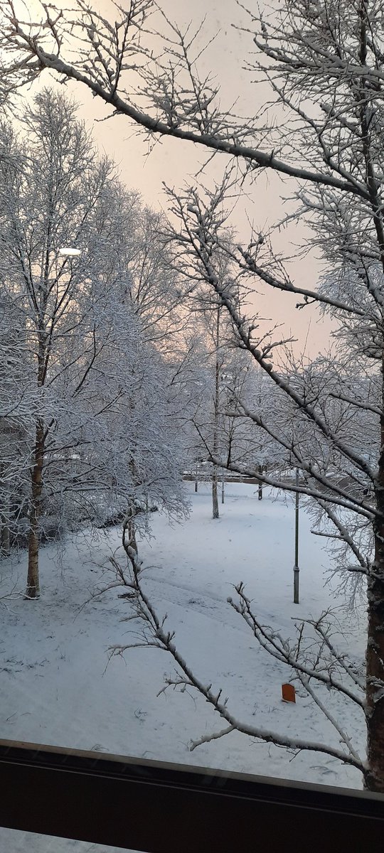 Dr. Nigel McKelvey tweet media