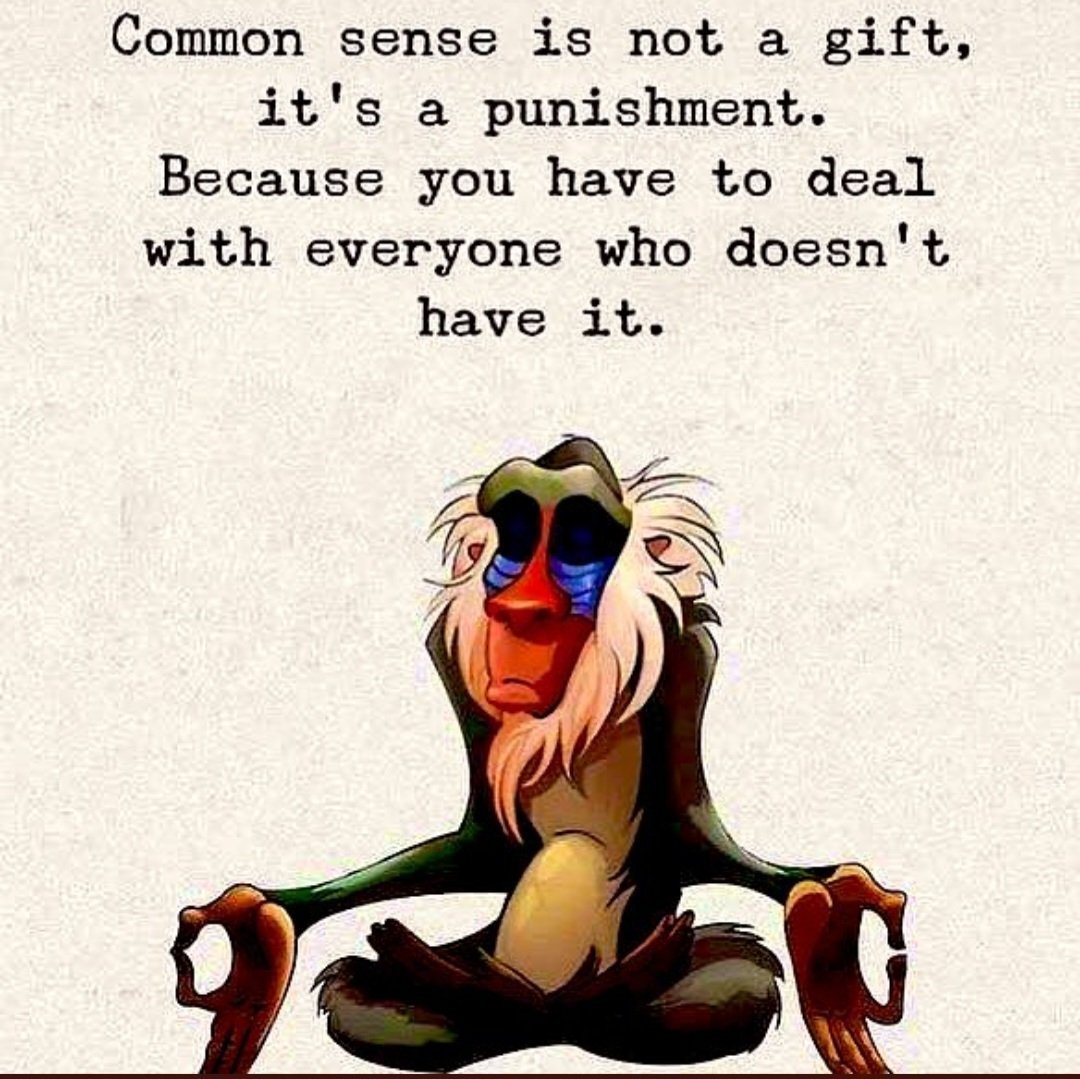 PatriotDesigns2's tweet photo. Something Democrats have lost, common sense. https://t.co/Gv1XqlO73X