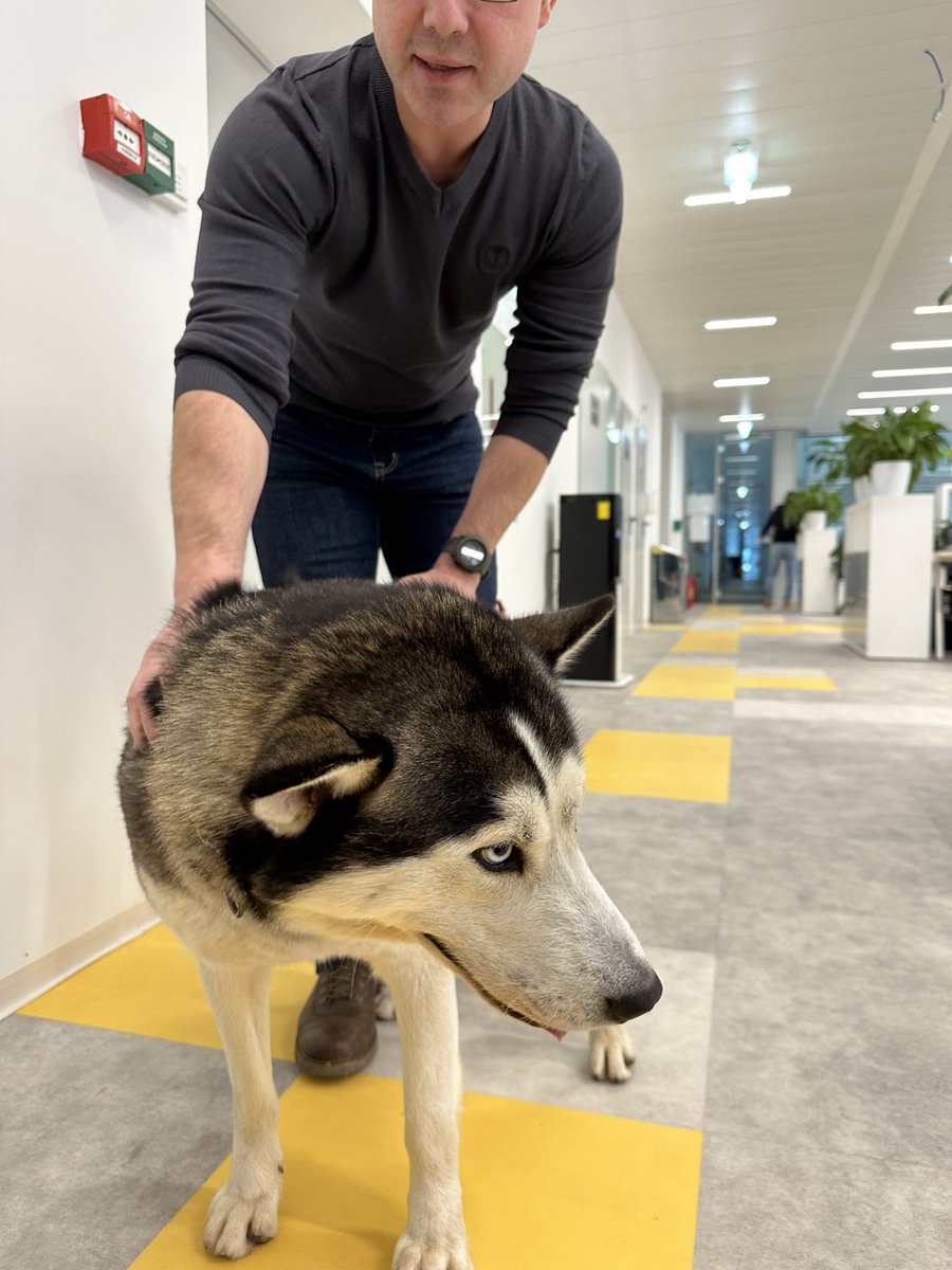 Today this was the best surprised I’ve found during my first visit in Gameloft Romania. Yes employees are allowed to bring their dogs at work. Having your dog close you everyday is the BEST benefit you can give to a dog owner. Congrats to <a href="/gameloft/">Gameloft</a> for this great opportunity 🫶