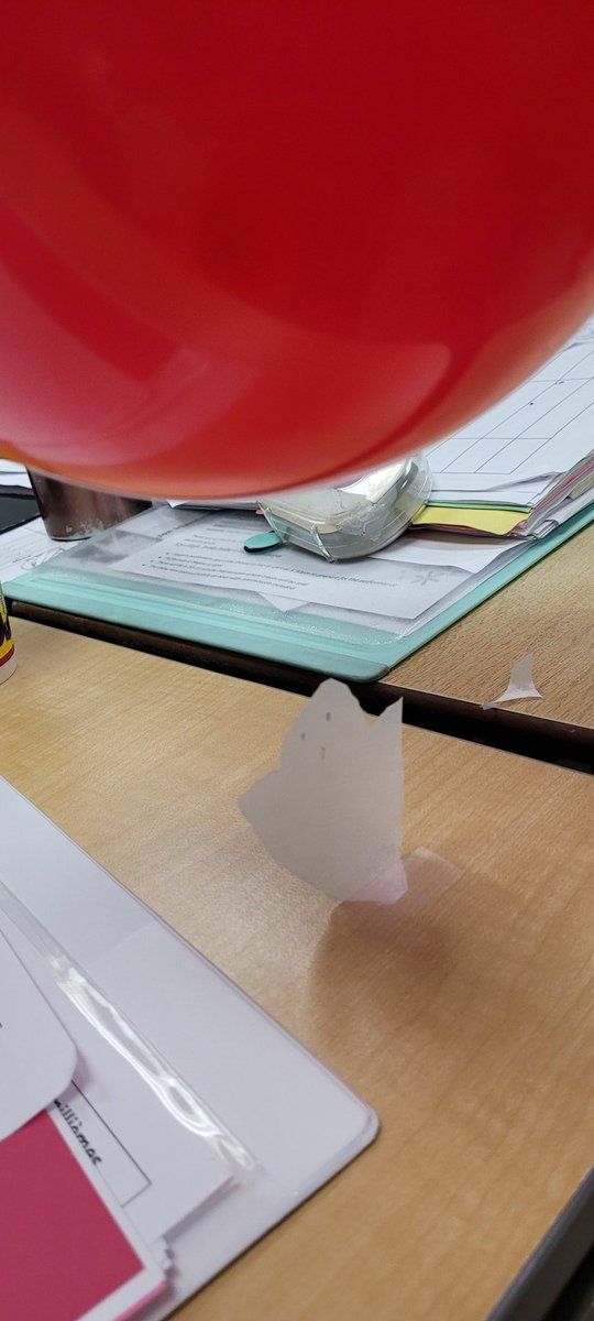 Jessica Albert tweet media