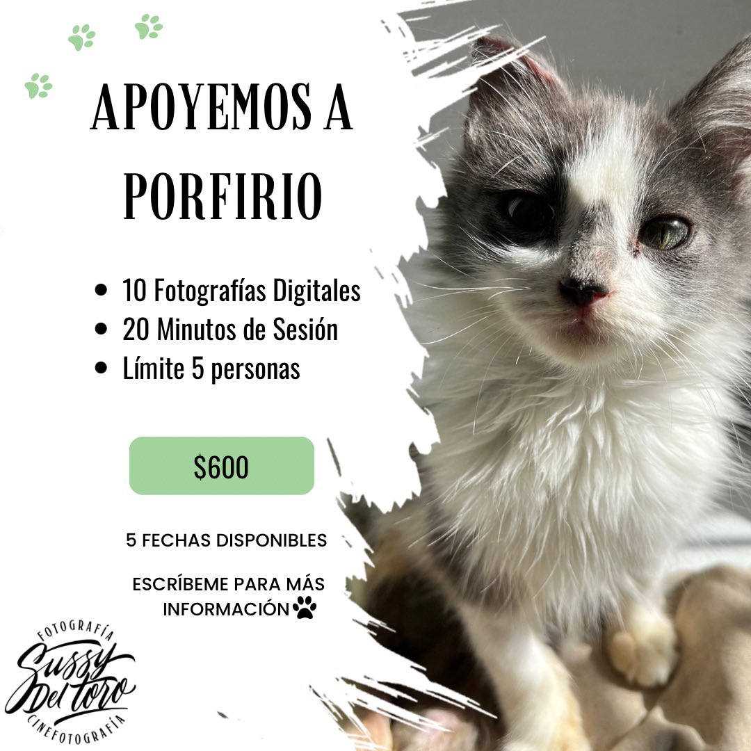 SussyDelToro_'s tweet photo. Estoy ofreciendo mi servicio de fotografía para solventar los gastos que se han generado hasta el día de hoy para la recuperación de Porfirio. Agradecería enormemente me apoyaran compartiendo para llegar a más personas.
Abajo les comparto su historia ¡pueden enviarme mensaje!🙏🏻 https://t.co/WskshAhsJw