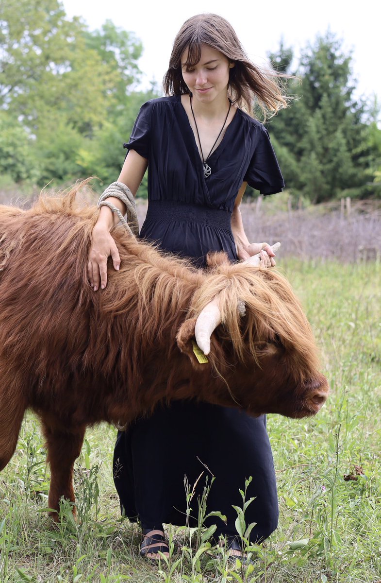 I see Twitter keeps telling young men they'll never find a pretty, young woman who wants to move to the countryside, start a homestead and have lots of kids. They call it a "trad fantasy".

Despair not, lads. There is hope.