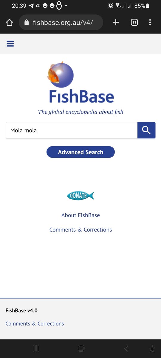 CarlesBarreda's tweet image. Mola mola el nou look de la web de @FishBaseProject 
fishbase.org.au/v4/