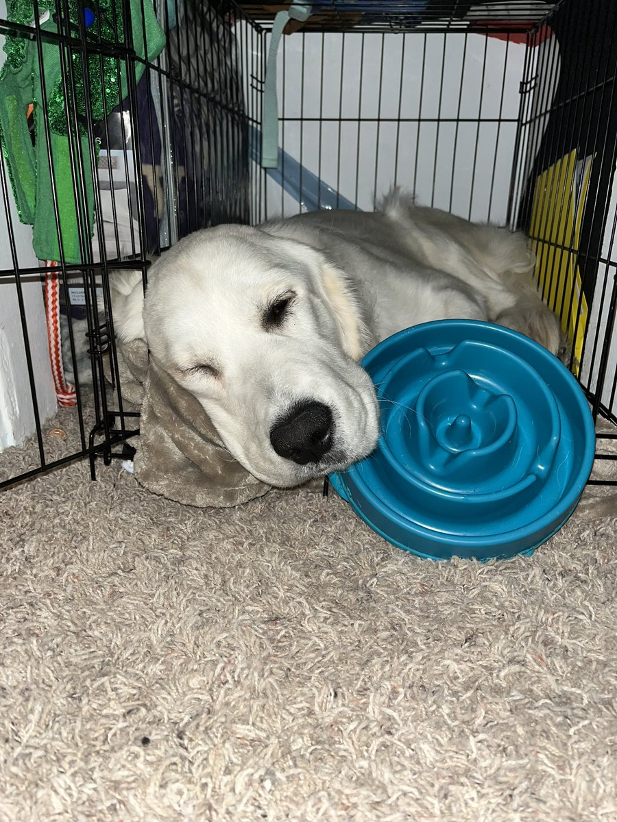 roamwiththem tweet media