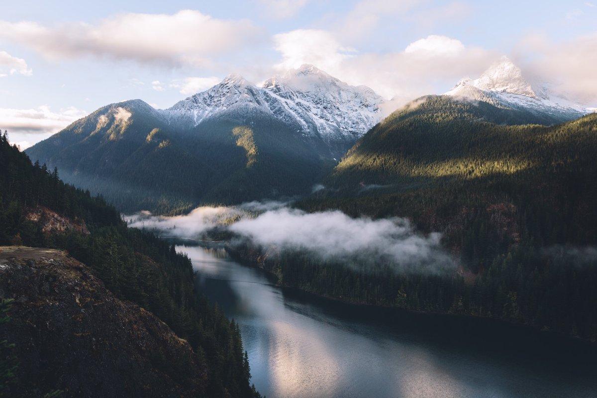 Elliot Hawkey tweet media