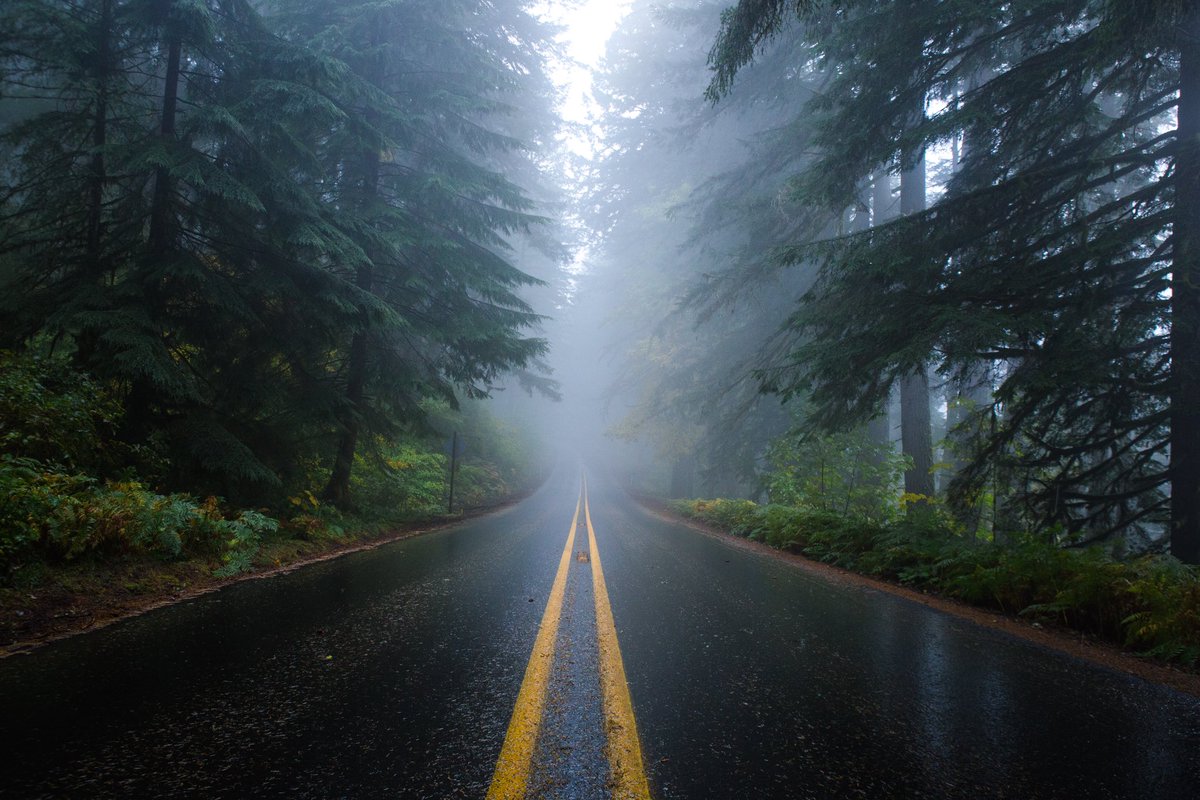 Elliot Hawkey tweet media