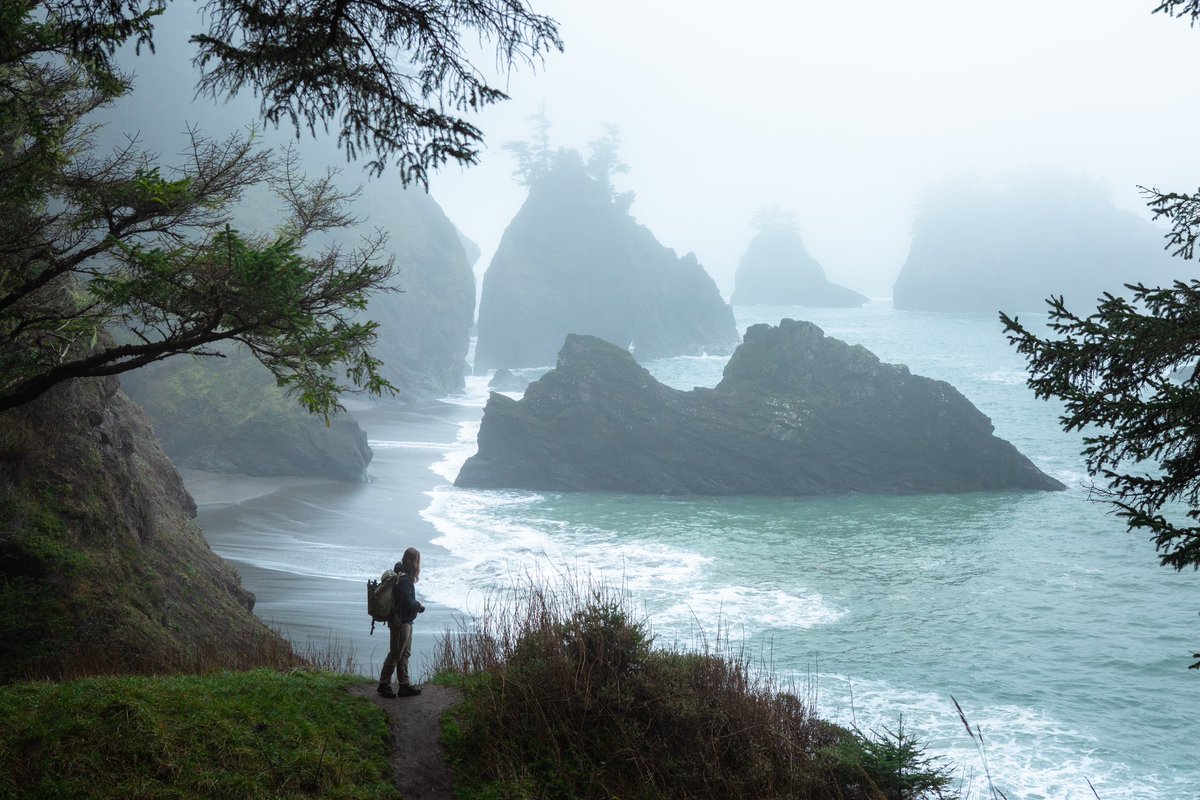 Elliot Hawkey tweet media