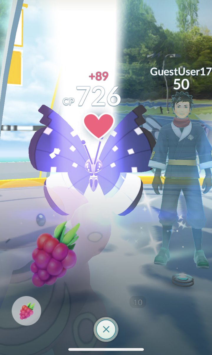 milieva13's tweet photo. Since you asked so nicely 😉 and you brought a #beautiful #butterfly… I let you stay in my gym! Guests are always welcome! #PokemonGO #TeamInstinct #Instinct4ever #GuestUser https://t.co/qbqrfjkYxv
