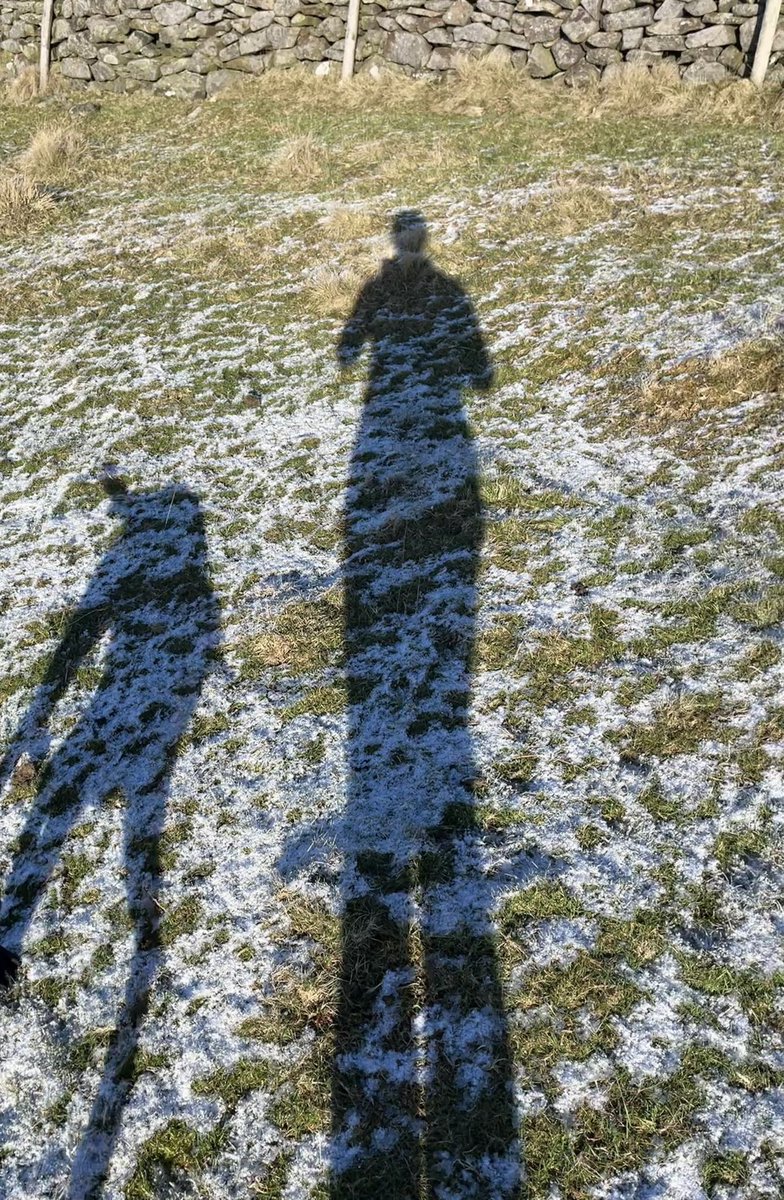 boabb_JEL's tweet photo. Blue skies, frost and the best type of cold #lunchtimerun #YorkshireDales #DogsOnTwitter https://t.co/UThTqVug0a