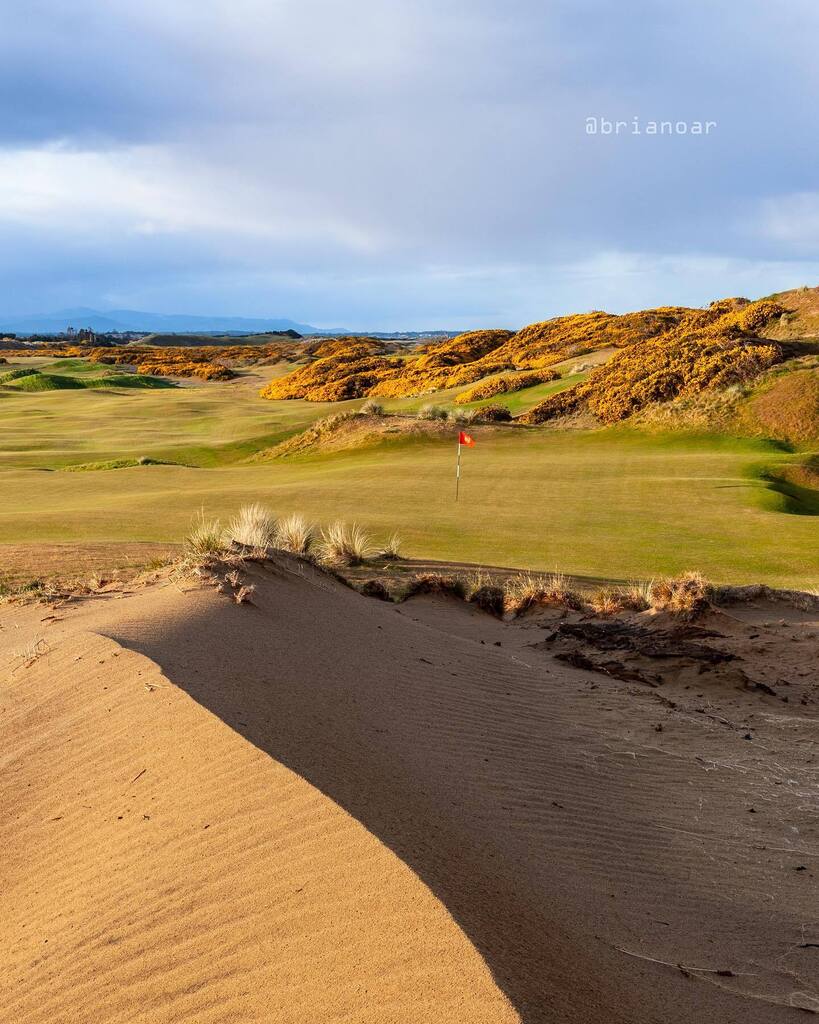 BrianOarGolf's tweet photo. 🎶 Old MacDonald had a far….golf course. 🐮🤠⛳️ photo: @BrianOar
⛳️Old MacDonald - Bandon Dunes ⛳️
#oldmacdonald #golf #bandon #bandondunes #sanddune #linksgolf #brianoar #linksgolfer #tomdoak #bradklein #jimurbina #golfdigest #golfmag #golfweek #linksmagazine #golfphoto… https://t.co/Llf7JXtryg