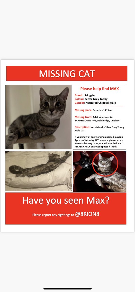 Marina Ni Riain tweet media