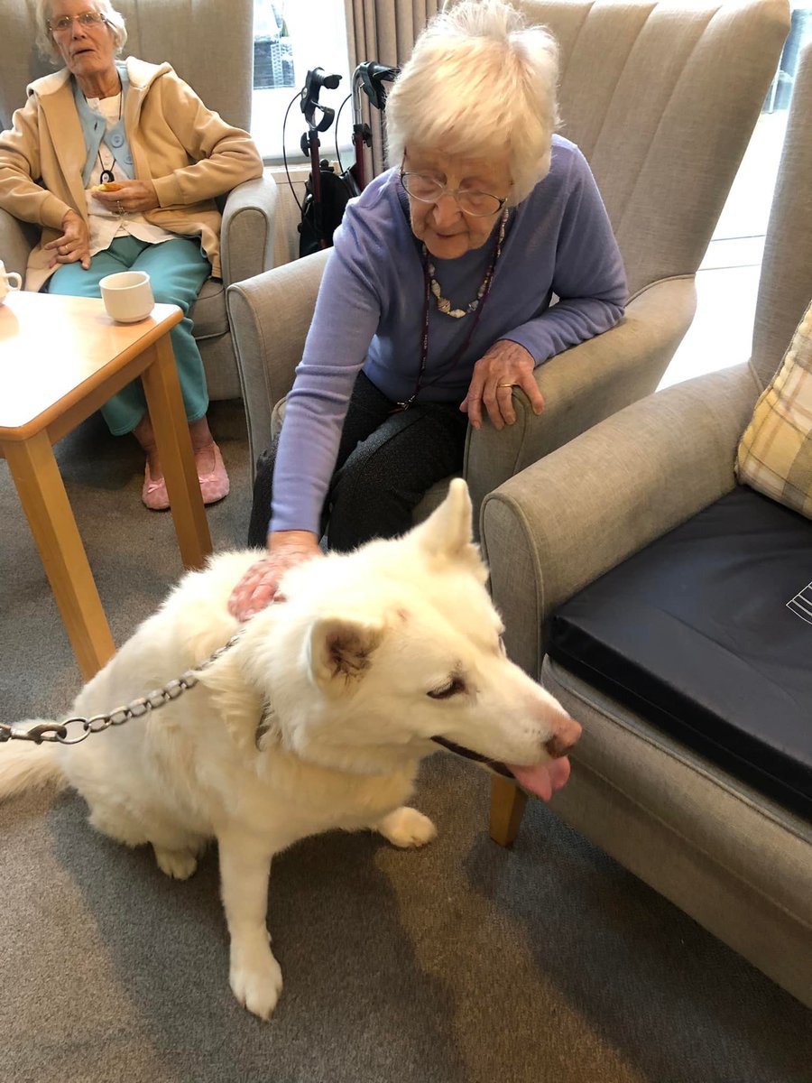 HeatherValeAH's tweet photo. This week we welcomed Sprite and her lovely owner Shirley who will be volunteering with some pet therapy at Heather Vale. 🐾🐾 #PetTherapy #Volunteer #MansBestFriend #Sprite https://t.co/eNTh21yTST