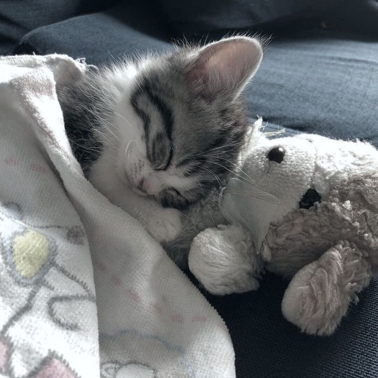 Karisha0903's tweet photo. ☆*:.｡.Он именно тот тип людей,которых я обычно находила только в книгах.｡.:*☆ https://t.co/9kA6yiZMbv