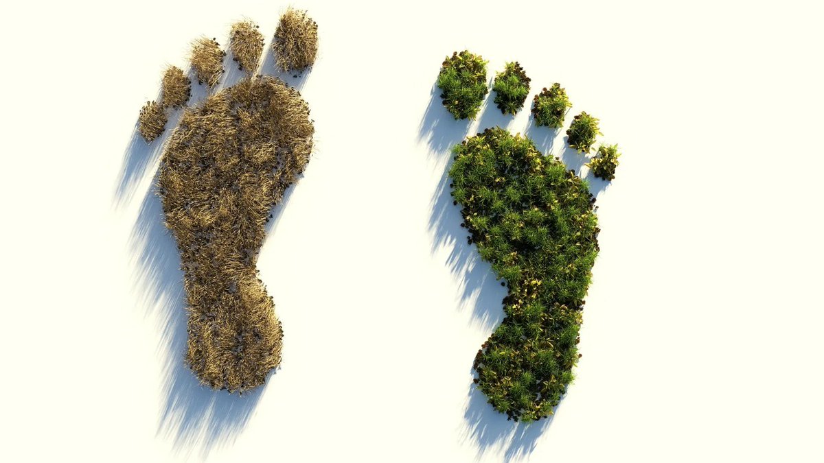 ErresEco's tweet photo. "La Huella que debemos Reducir y Compensar" leer nota: https://t.co/WjH8SQnvef

#huelladecarbono #compensar #reducir #nohayplanetab #consumoresponsable #impacto https://t.co/msNLeHmNRi