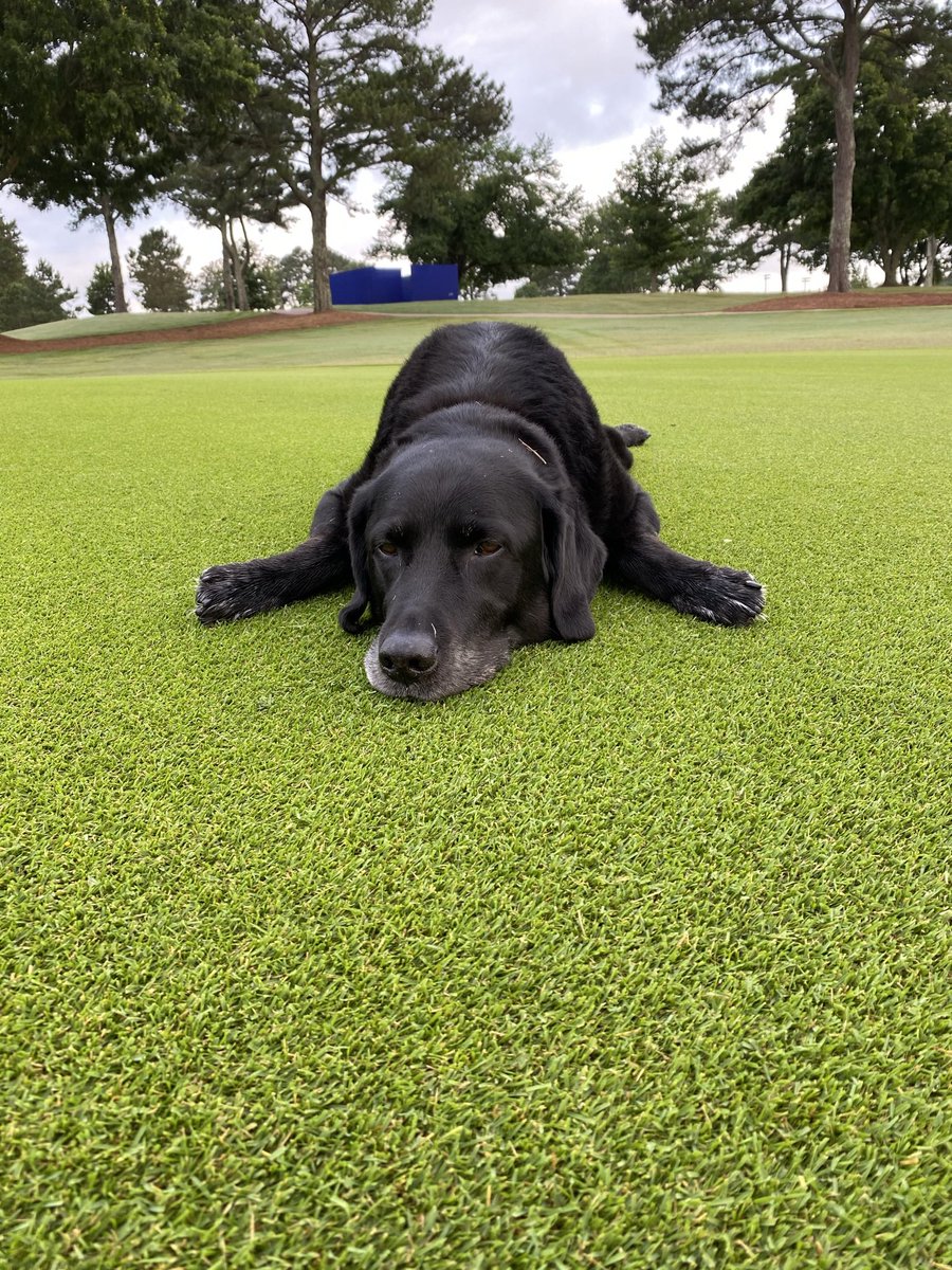 Trent Inman tweet media