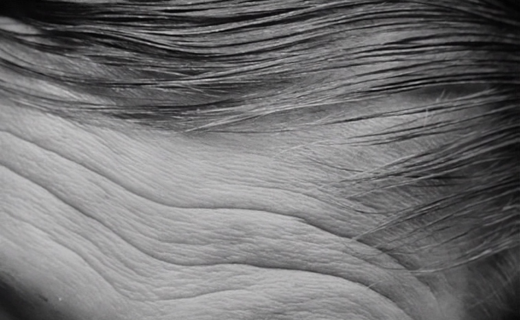 TheCinesthetic's tweet image. The Cremator (1969) dir. Juraj Herz