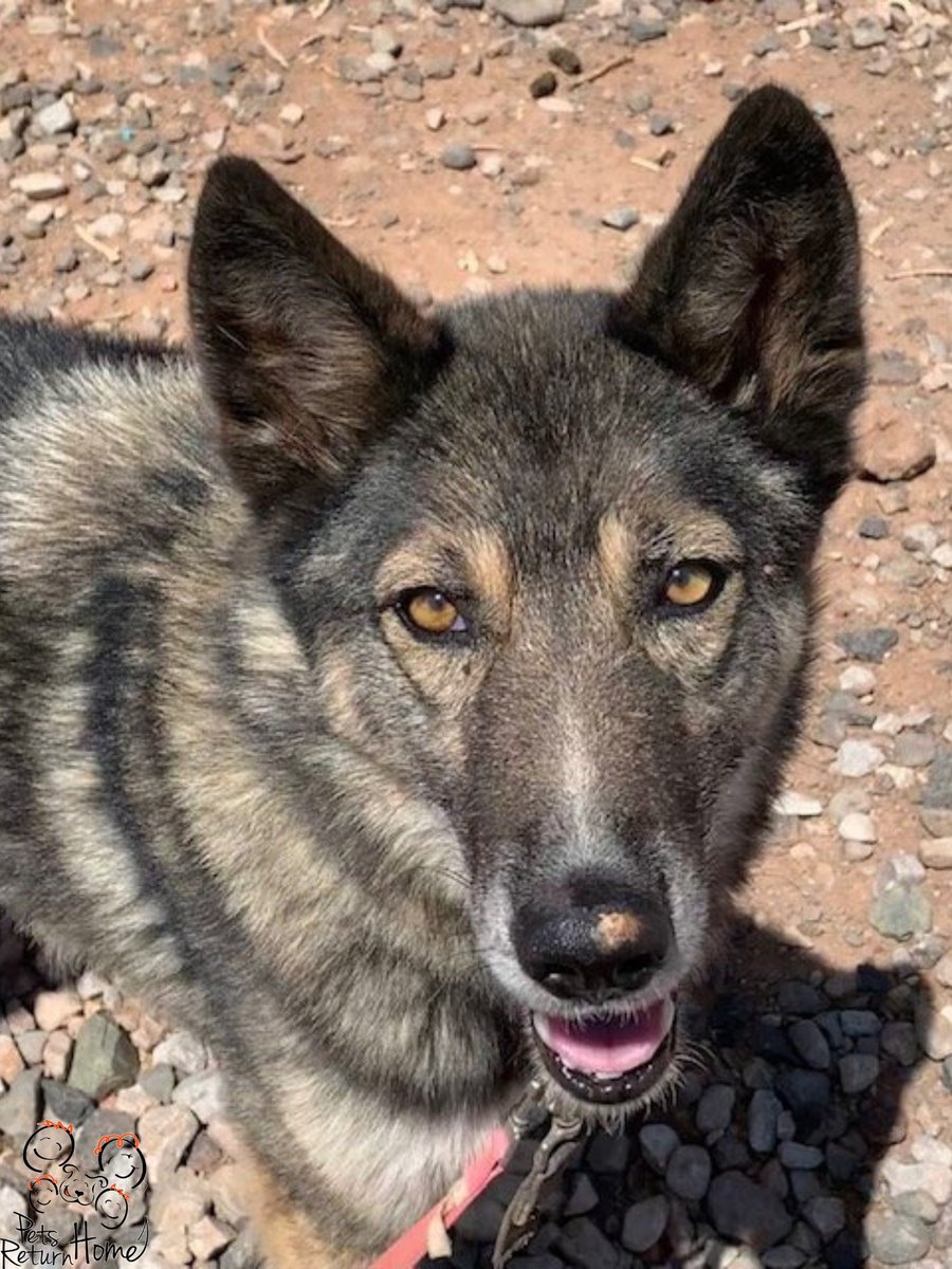 Saving Lives tweet media