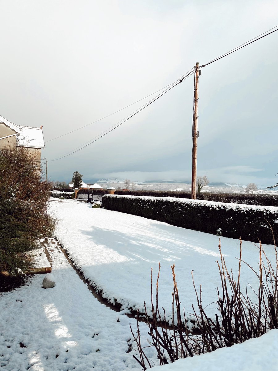 broightergold's tweet photo. 𝕊𝕠𝕞𝕖𝕠𝕟𝕖 𝕤𝕒𝕪 𝕤𝕟𝕠𝕨𝕕𝕒𝕪❄️☃️
How picturesque is our view today, waking up to this beautiful snow over Binevenagh sure where else would you get it😍
#snowday #binevenaghmountain #broightergold #broightergoldrapeseedoil #broglascofarm #myroe #snowfall https://t.co/CReY0H3Rgz