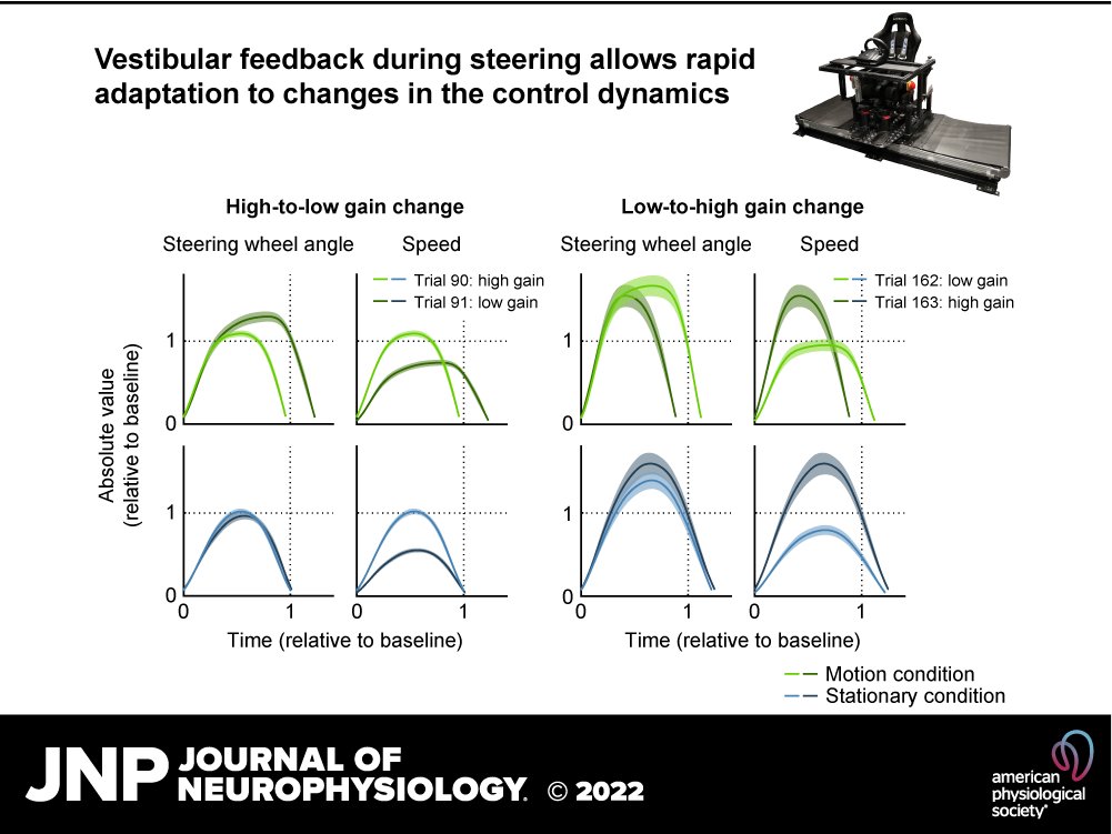 JNeurophysiol's tweet photo. 📖New research out in JNP!! Predictive steering: integration of artificial motor signals in self-motion estimation (Milou J. L. van Helvert et al.)
👉https://t.co/Owba0P8n2H
@pmedendorp #VestibularSystem #InternalModel #EfferenceCopy #SensorimotorAdaptation https://t.co/KA56XoJUf8