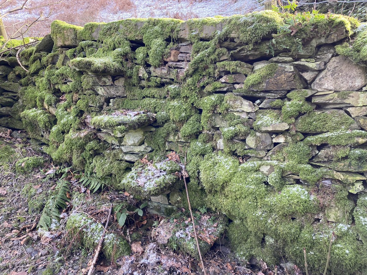 Duncan Pollard tweet media