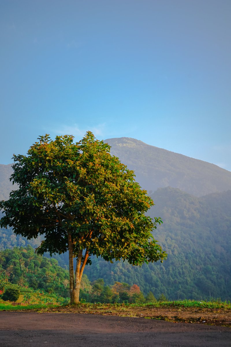 ☀️Golden Hour
#NFTCommuntiy #nftphotography #NFTphotographers #nftphoto