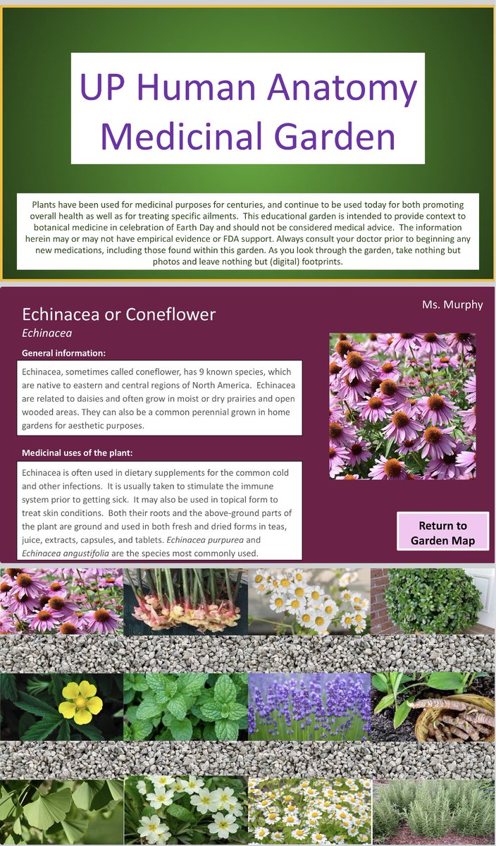 Ashley Murphy tweet media