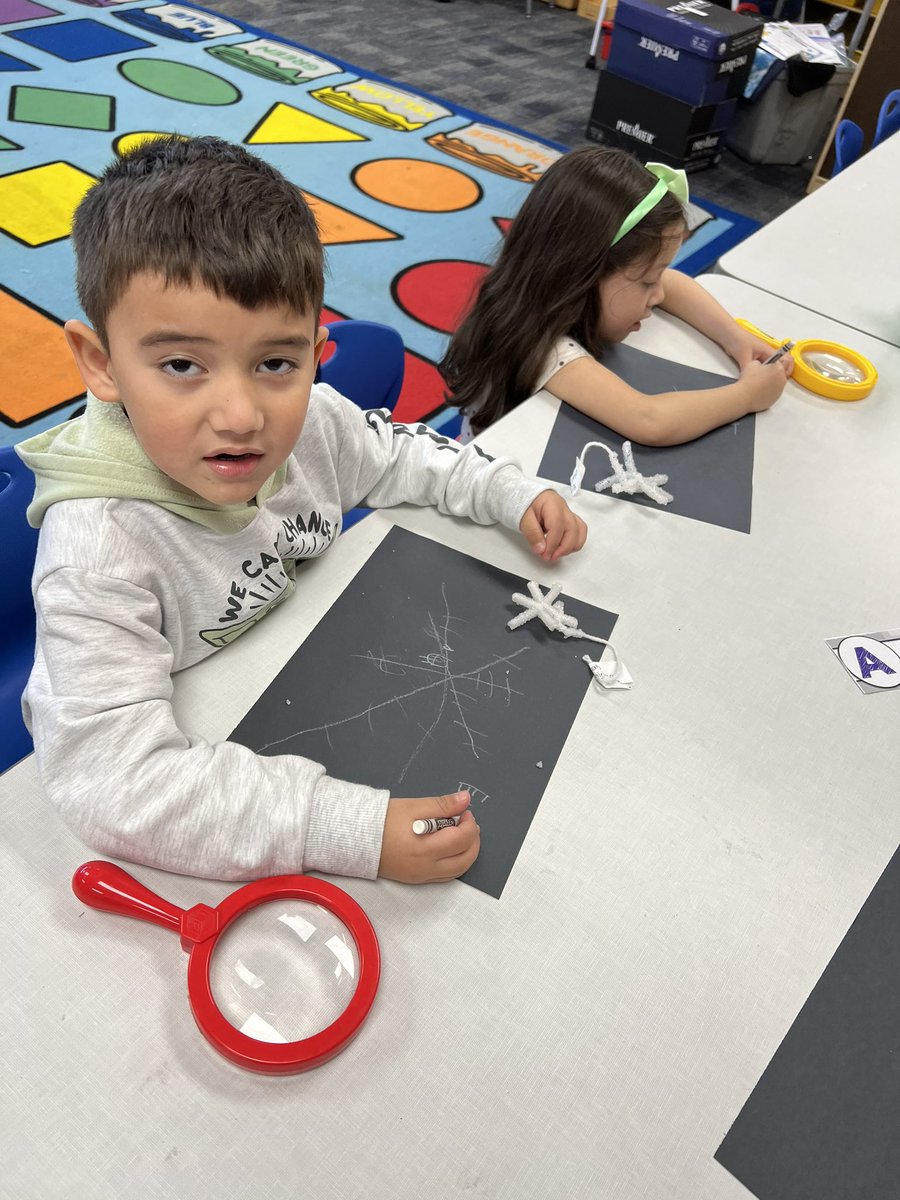 It wouldn’t be winter without snowflakes! We used our science skills and grew ice “crystal” snowflakes. Of course -we recorded our data and observed with magnifier! Students even noticed the small squares on each snowflake! #prekmagic #loweryproud