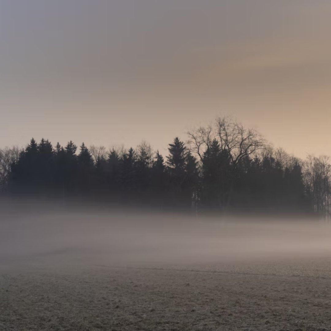 MaggieMaeBlogs's tweet photo. Early morning fog. https://t.co/a66DU7mbej