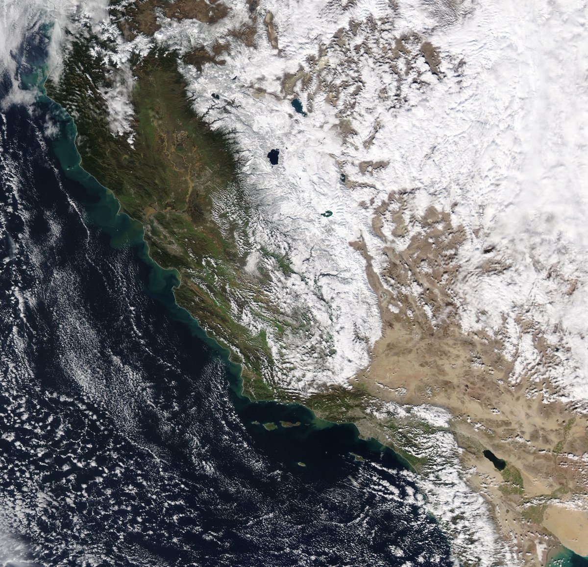 Colin McCarthy tweet media