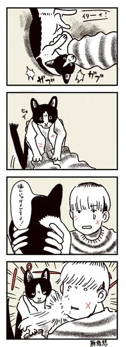怒れる猫 平手打ち 