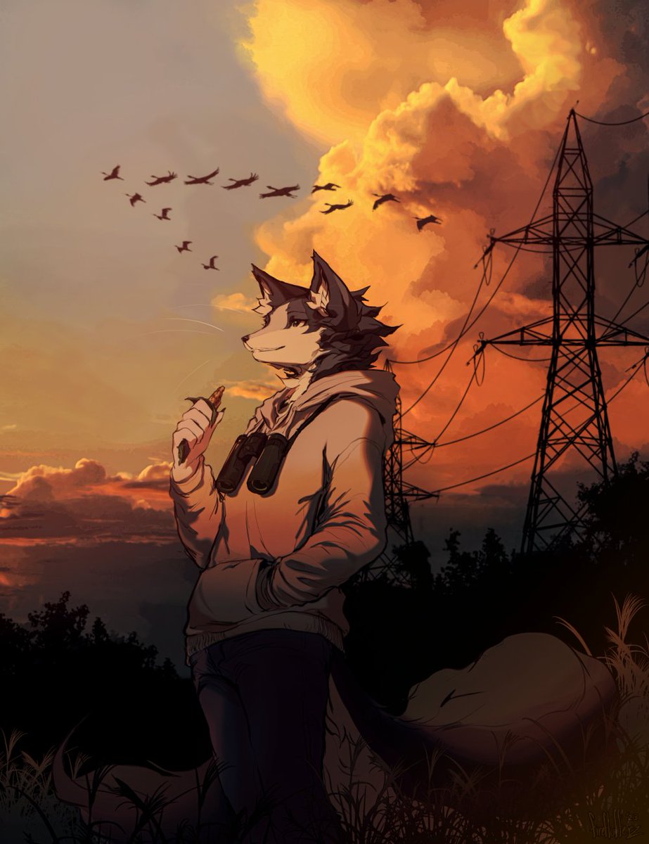 sumiaou tweet picture
