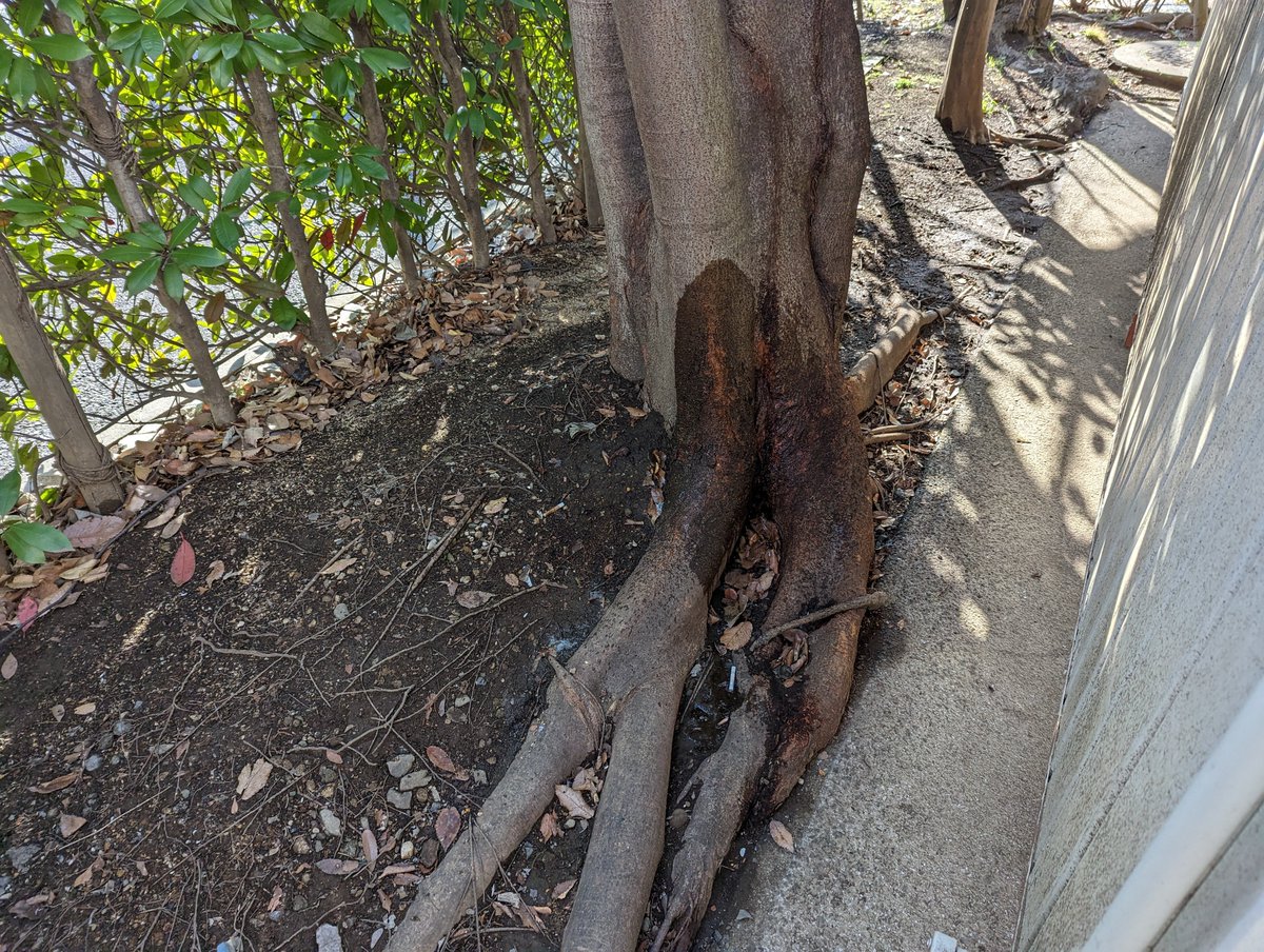 Shon on Twitter: うるさい人がいたので削除しました。今行ってみたら、、、 立ちション 男はやっぱり立ちしょん 節水