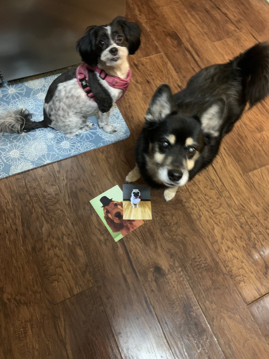 Oh goodness look at the sweet card we got from our good friend <a href="/PetuniaMaePug/">Lt. Petunia Mae Parker 🐷🐑</a> , thank you for the card. We may not be on as much but we do think of you often ❤️😘