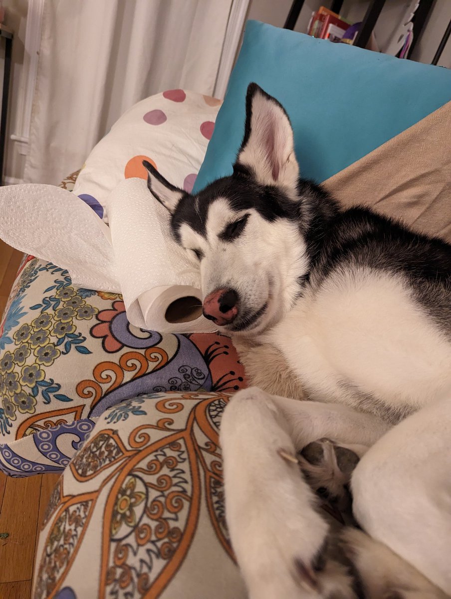 Liz isn't here anymore tweet media