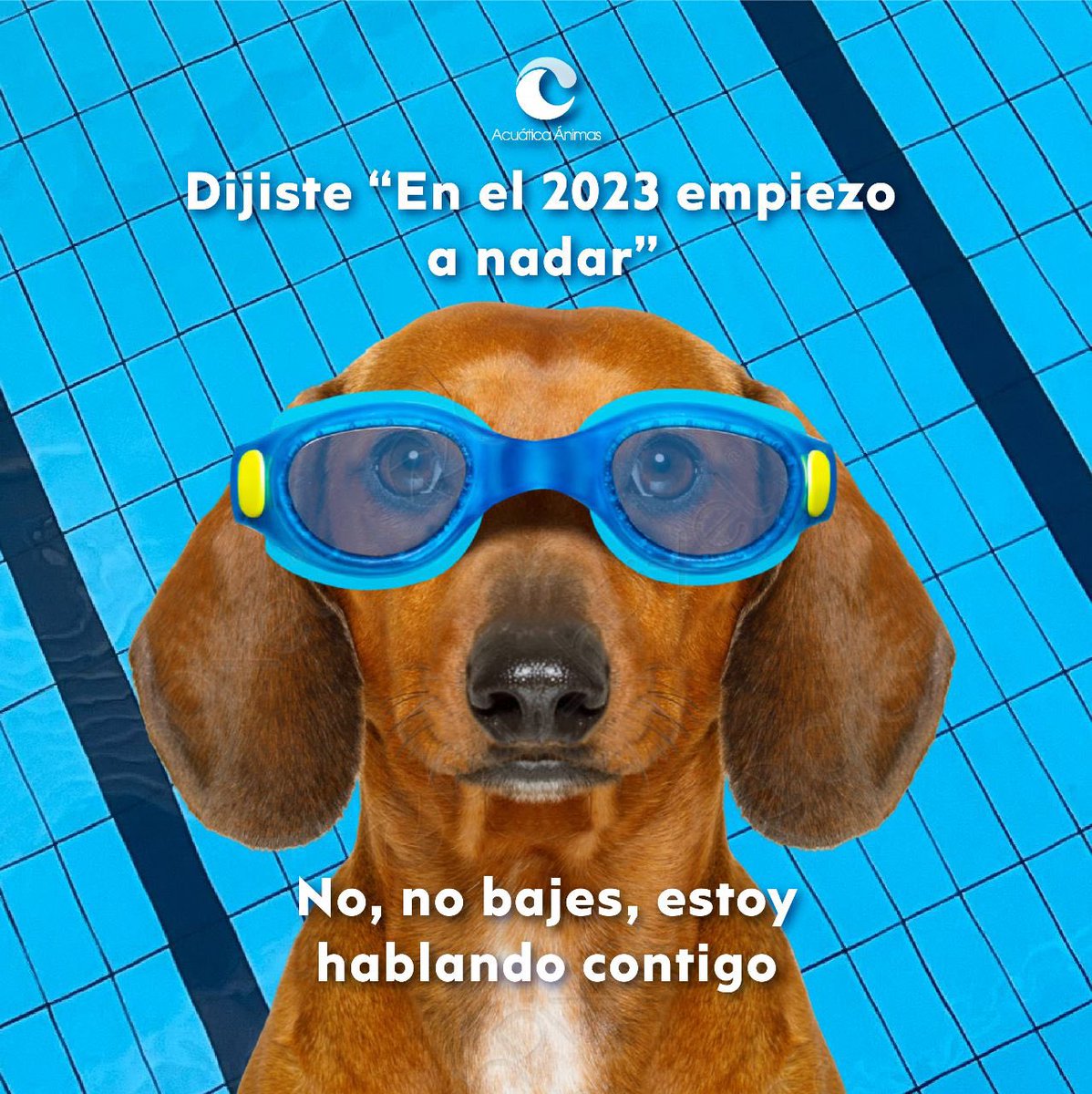 AcuaticaAnimas's tweet photo. Esto es una señal #acuaticaanimas https://t.co/y5d9Xnri3D